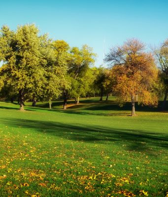 Veteran’s Memorial Park