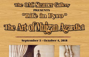 “Life in Pyro” – The Art of Mujgan Agardici