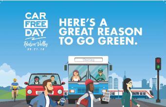 International Car Free Day