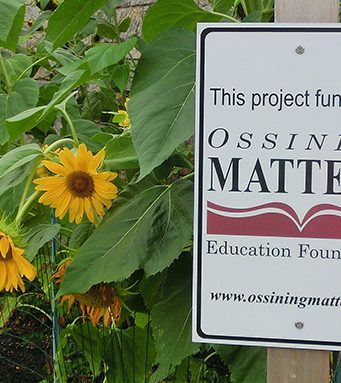Ossining Matters Educational Foundation