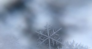 Ready For The Snowstorm