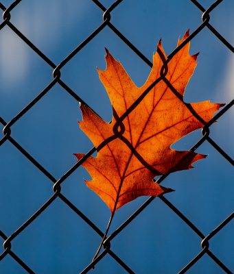 Humane Alternatives To Long-Term Solitary Confinement Act Signed Into Law